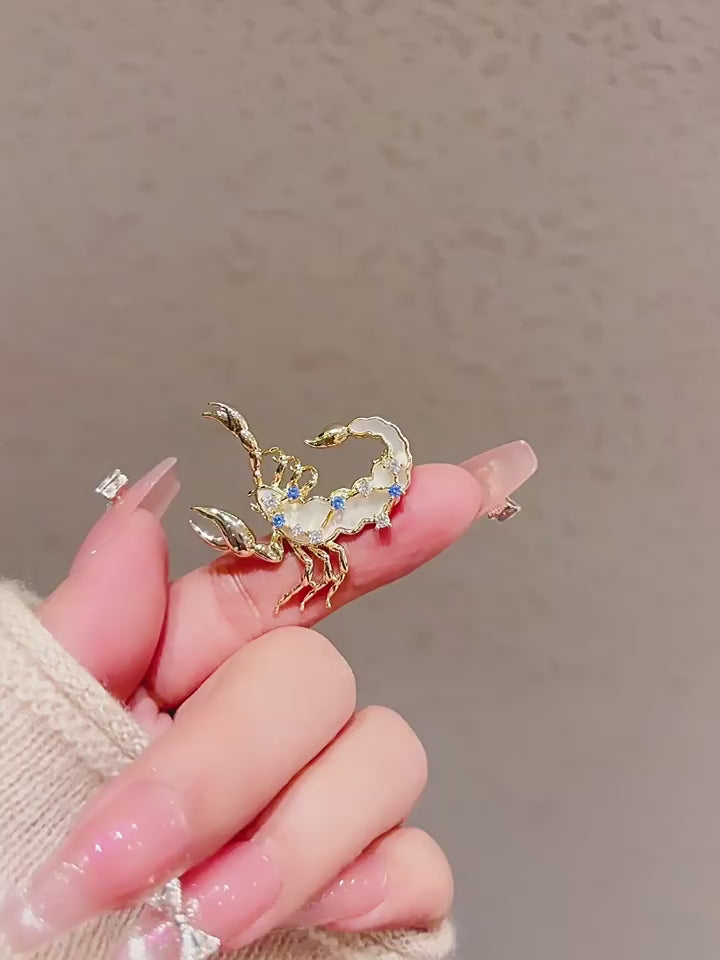 Zodiac-Inspired Scorpion Brooch - Zodiac Gift product video
